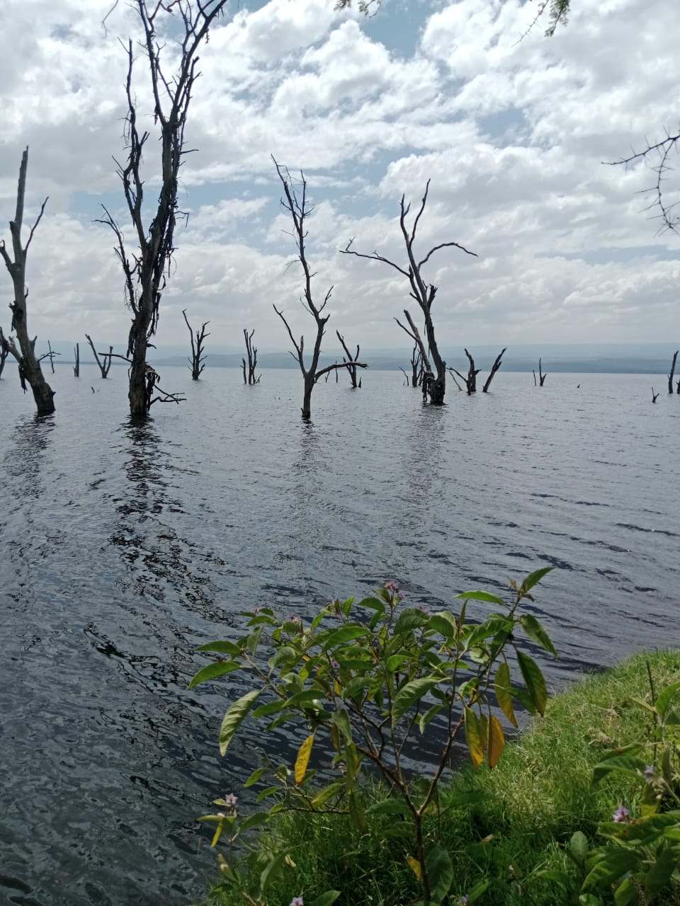 Lake Nakuru